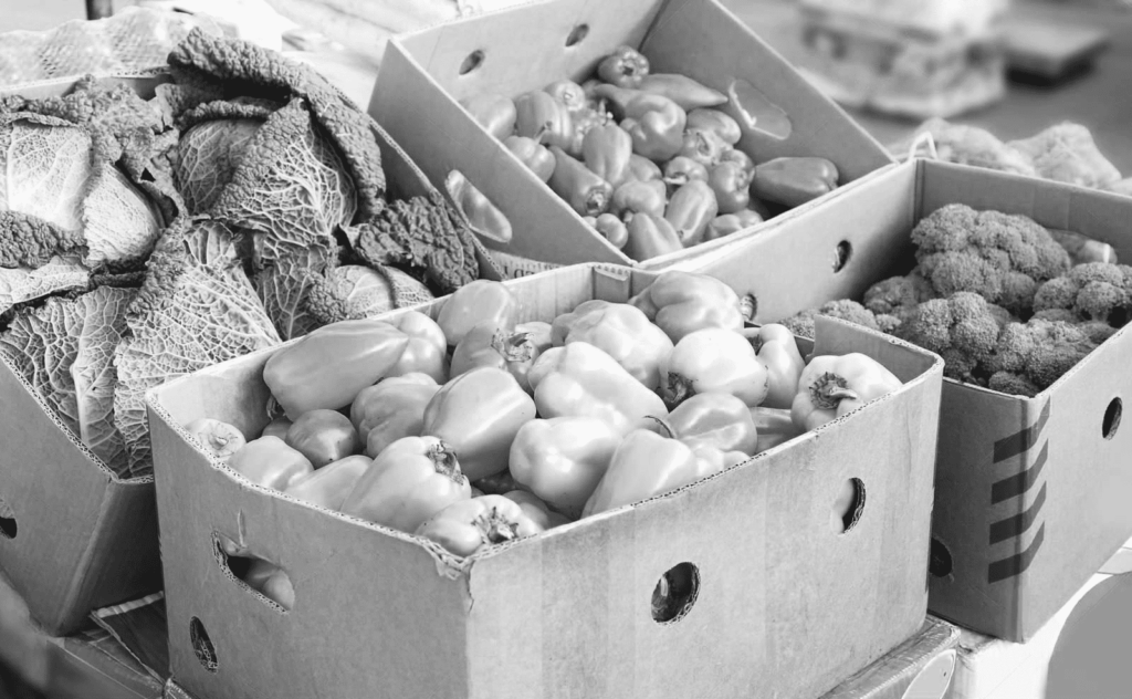 Comment les Transports Liotier maintiennent la sécurité des aliments en transit ?